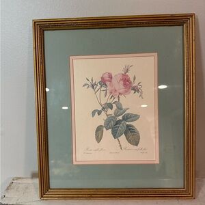 Vintage FRAMED Double Mat PIERRE JOSEPH REDOUTE BOTANICAL Rosa Centifolia